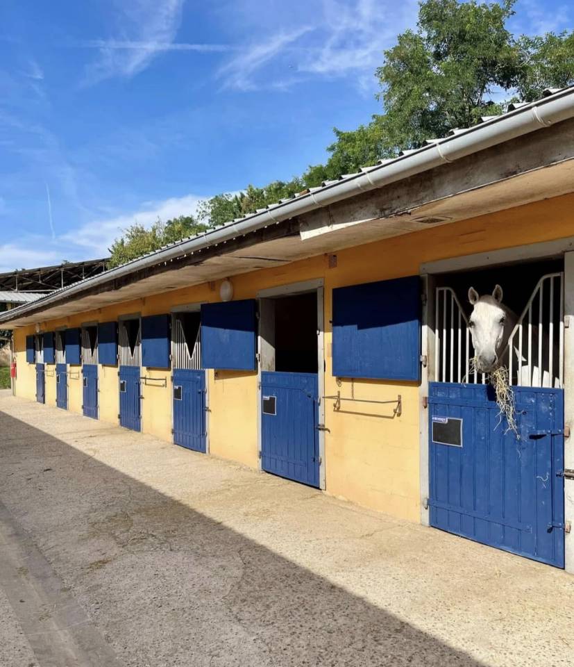 Eigenaren stal Huur Seine-et-Marne