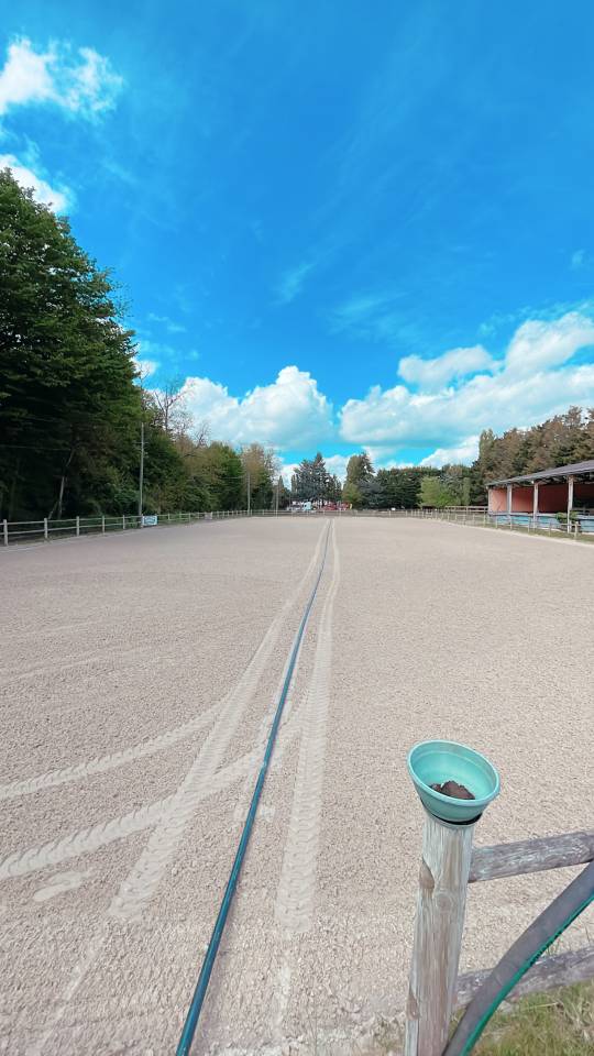 Eigenaren stal Huur Seine-et-Marne