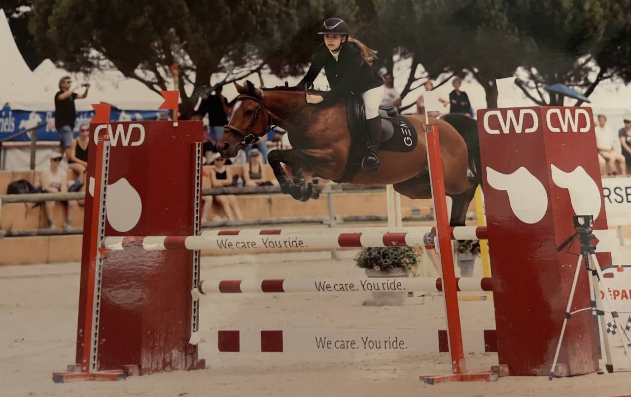 Ruin Franse rijpony PFS Te koop 2017 Donker bruin / bai