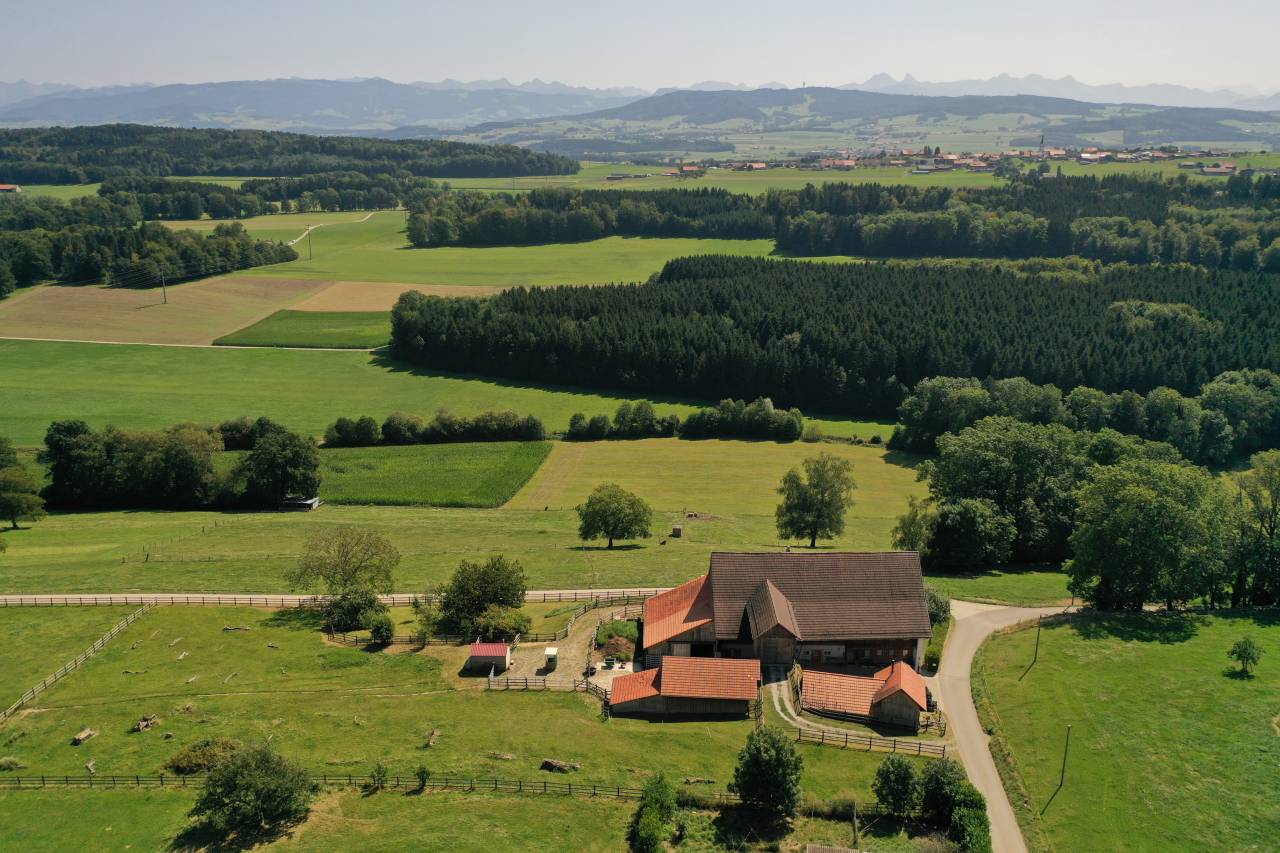 Paarden boerderij Koop Fribourg