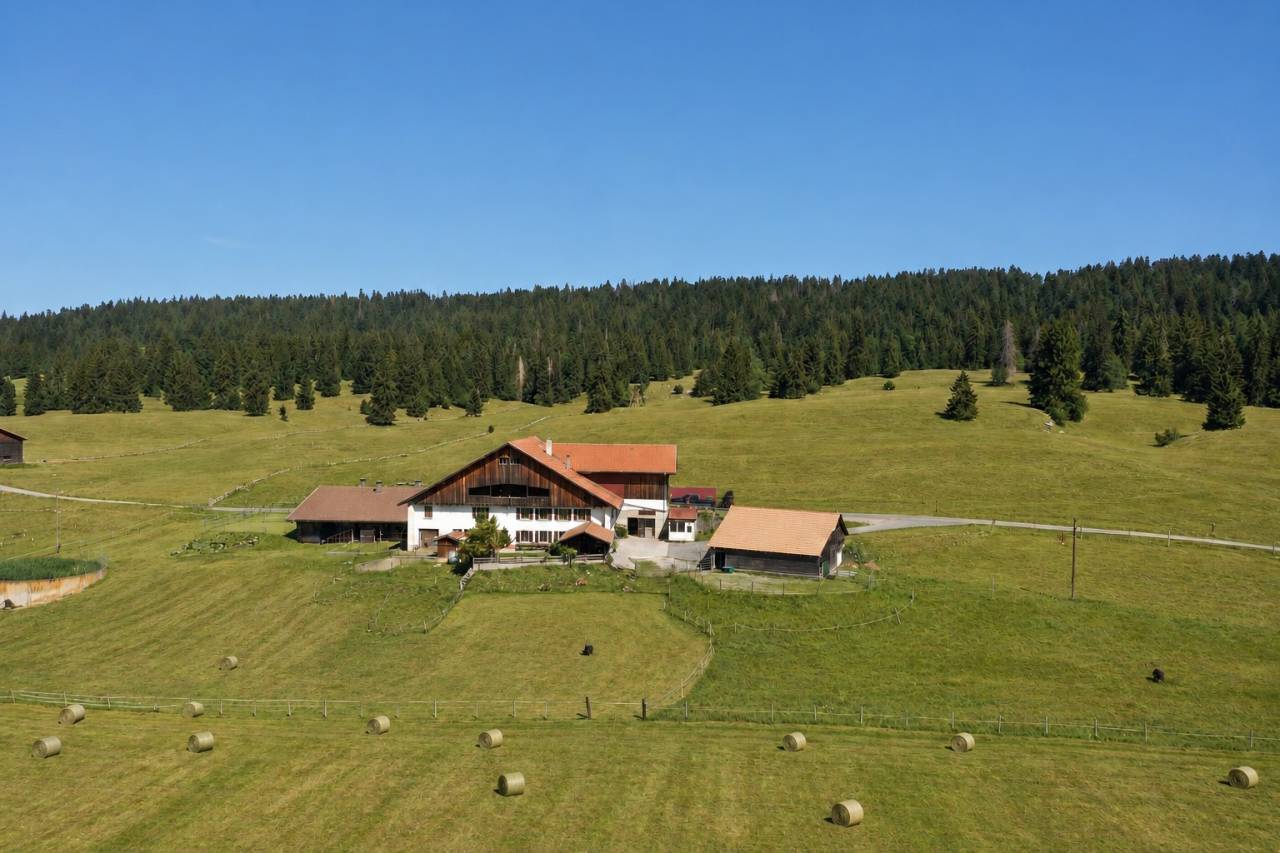 Paarden boerderij Koop Fribourg