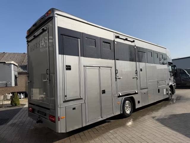 Zware paardenvrachtwagen (groot rijbewijs) Man MAN TGM 15.290 ANKA POP OUT 2025 Tweedehands