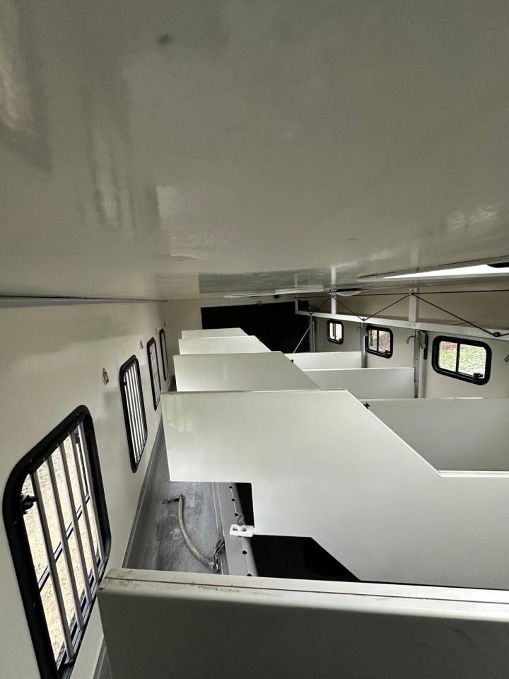 Zware paardenvrachtwagen (groot rijbewijs) Mercedes MERCEDES-BENZ ATEGO 1529 JL INTERNATIONAL 7 2008 Tweedehands