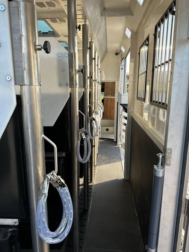Zware paardenvrachtwagen (groot rijbewijs) HTI MAN TGS 26.470 HTI PROFESSIONAL 8 2026 Nieuw