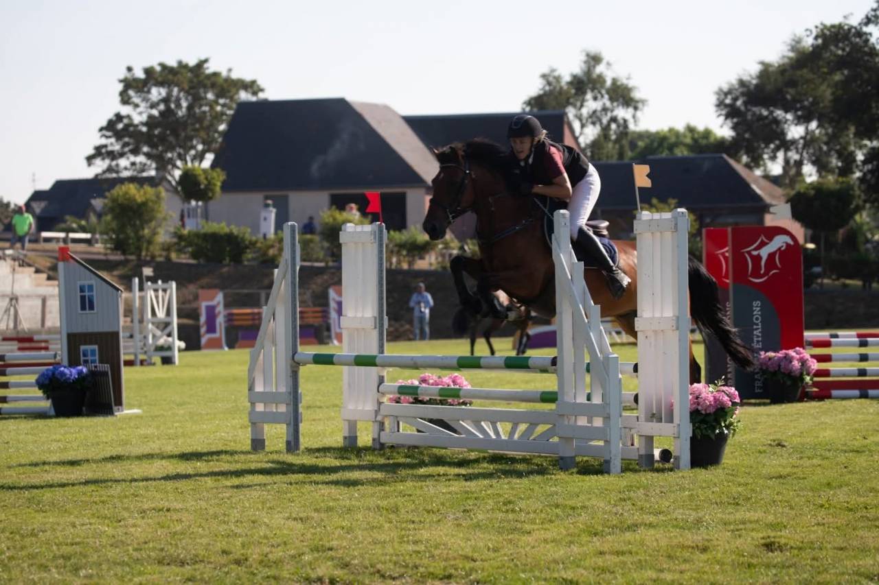 Ruin Franse rijpony PFS Te koop 2019 Donker bruin / bai ,  MEXICO DE CAUDARD