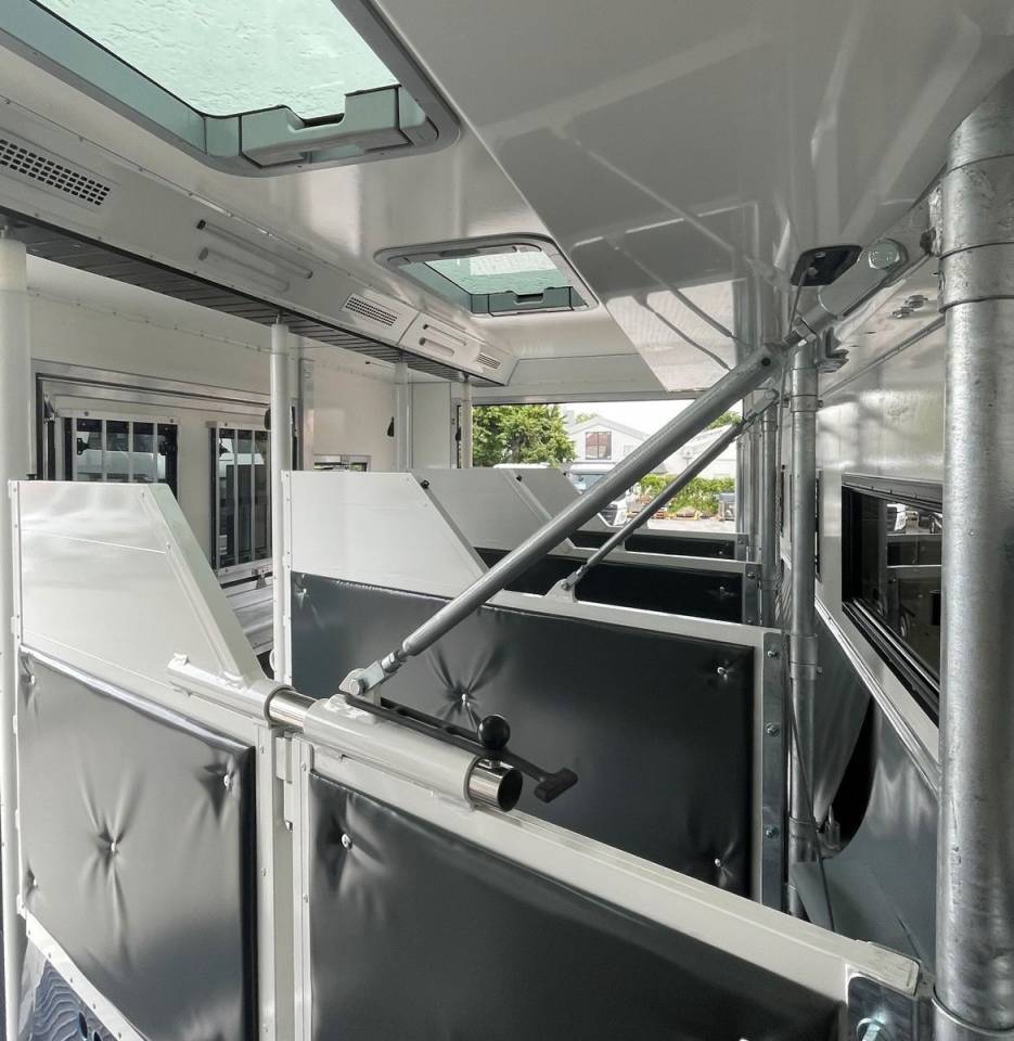 Zware paardenvrachtwagen (groot rijbewijs) Man MAN TGM 18.320 ANKA POP OUT 2026 Nieuw