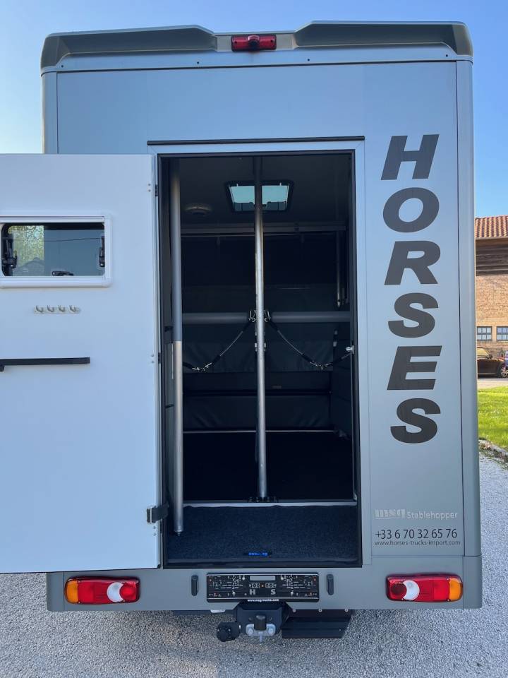 Kleine paardenvrachtwagen (B rijbewijs) Nissan NISSAN INTERSTAR DCI 165 MSG STALLION LIGHT 2026 Tweedehands