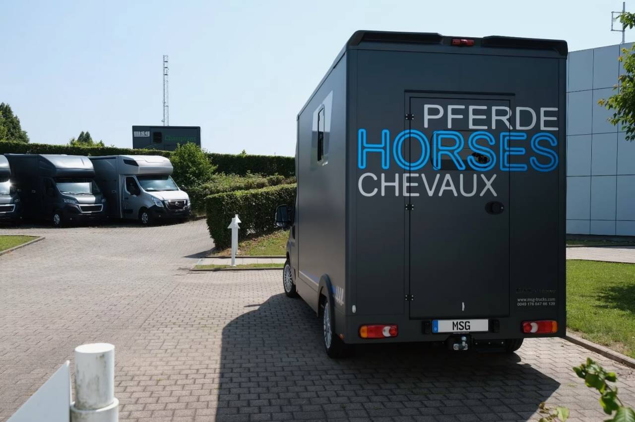 Kleine paardenvrachtwagen (B rijbewijs) Peugeot PEUGEOT BOXER 165 MSG STALLION LIGHT NOUVEAU MODEL 2026 Nieuw