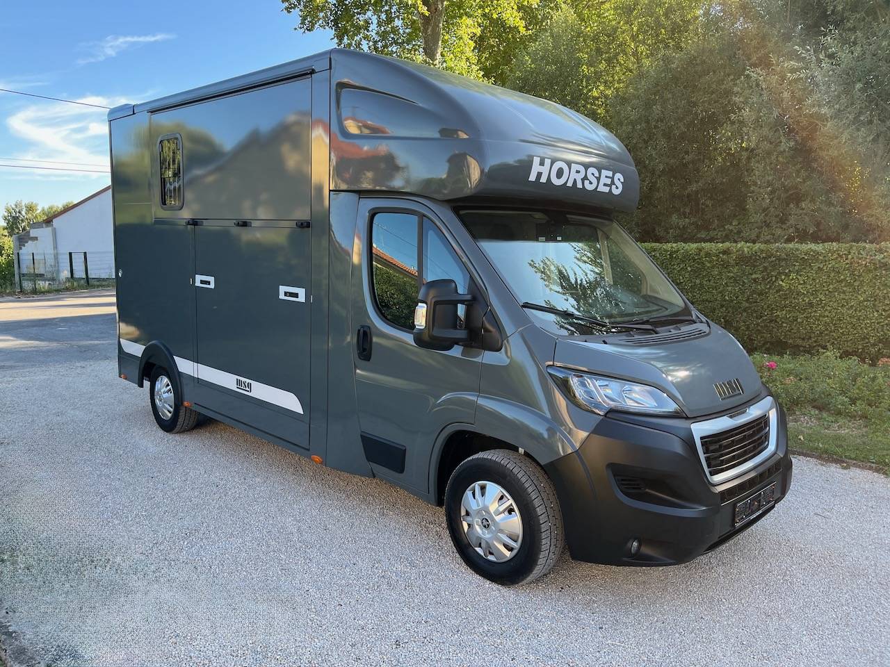 Kleine paardenvrachtwagen (B rijbewijs) Peugeot PEUGEOT BOXER BLUEHDI 165 MSG STALLION LIGHT  Tweedehands
