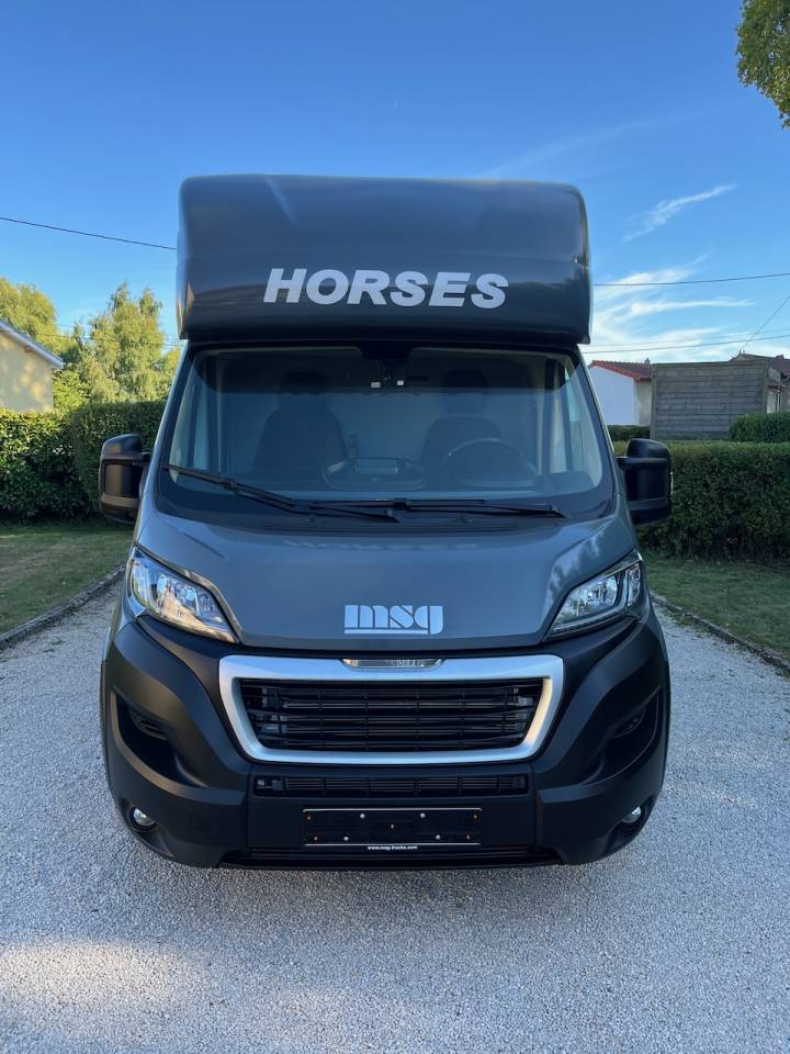 Kleine paardenvrachtwagen (B rijbewijs) Peugeot PEUGEOT BOXER BLUEHDI 165 MSG STALLION LIGHT  Tweedehands