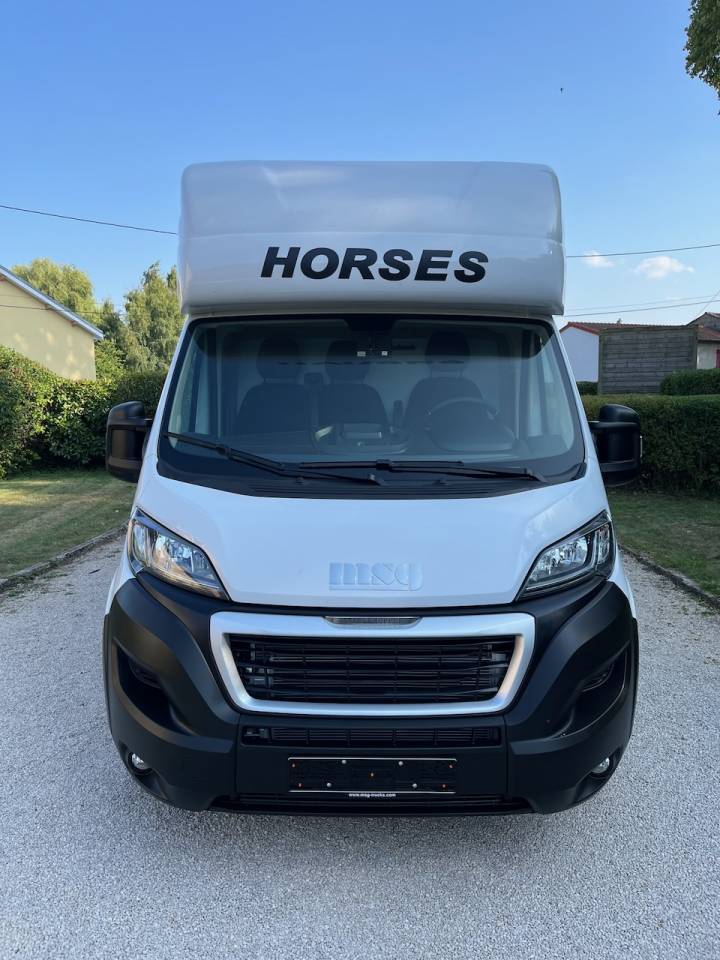 Kleine paardenvrachtwagen (B rijbewijs) Peugeot PEUGEOT BOXER BLUEHDI 165 MSG STALLION LIGHT 2025 Tweedehands