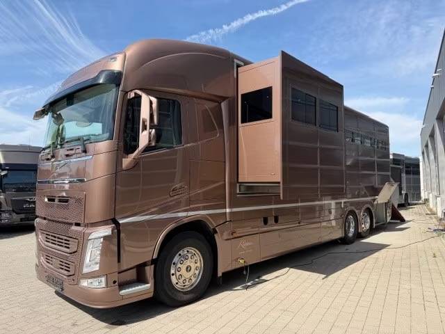 Zware paardenvrachtwagen (groot rijbewijs) Volvo VOLVO FH 500 ROELOFSEN RR6 POP OUT & PUSH UP 2016 Tweedehands
