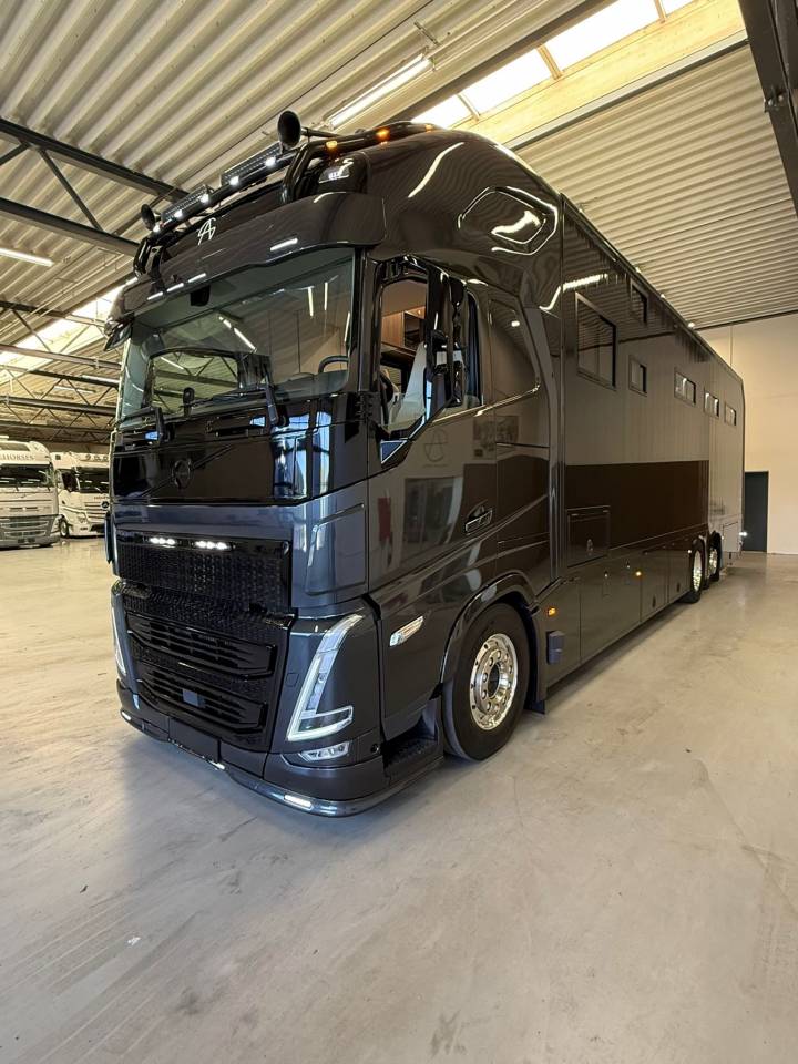 Zware paardenvrachtwagen (groot rijbewijs) Volvo VOLVO FH 500 NF 8 HORSES 2025 Tweedehands