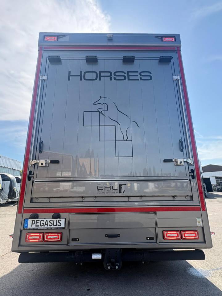 Zware paardenvrachtwagen (groot rijbewijs) Scania SCANIA S500 EHC POP OUT 2020 Tweedehands