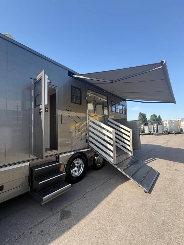Zware paardenvrachtwagen (groot rijbewijs) Scania SCANIA S500 EHC POP OUT 2020 Tweedehands