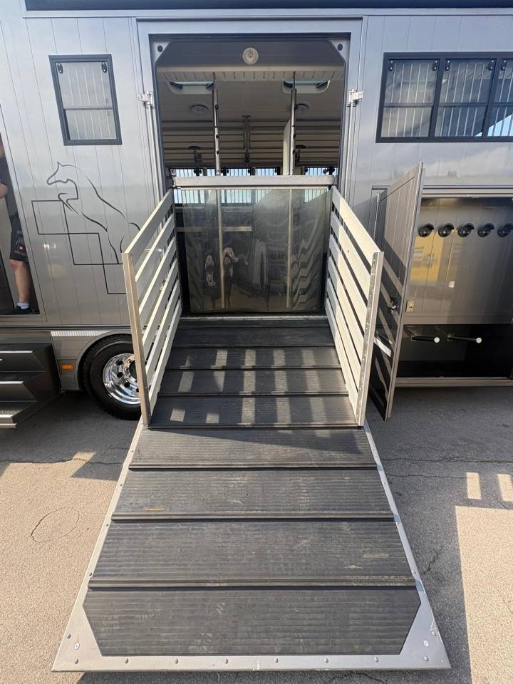 Zware paardenvrachtwagen (groot rijbewijs) Scania SCANIA S500 EHC POP OUT 2020 Tweedehands
