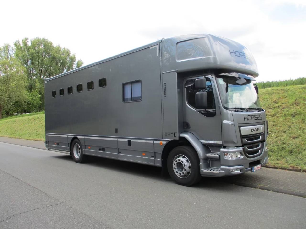 Zware paardenvrachtwagen (groot rijbewijs) Daf DAF LF 310 EHC 2026 Nieuw
