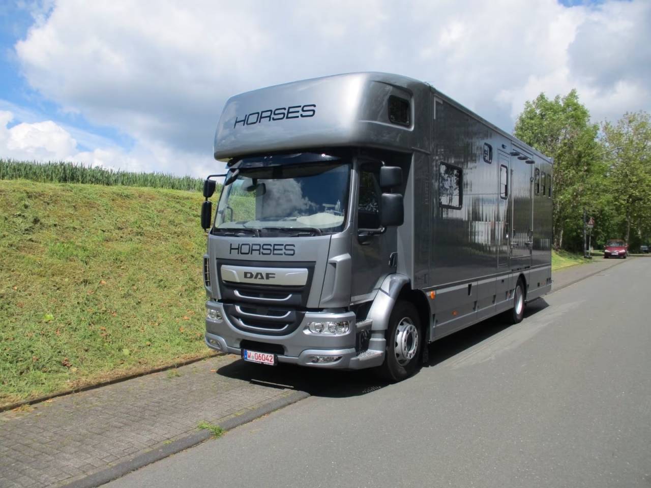 Zware paardenvrachtwagen (groot rijbewijs) Daf DAF LF 310 EHC 2026 Nieuw