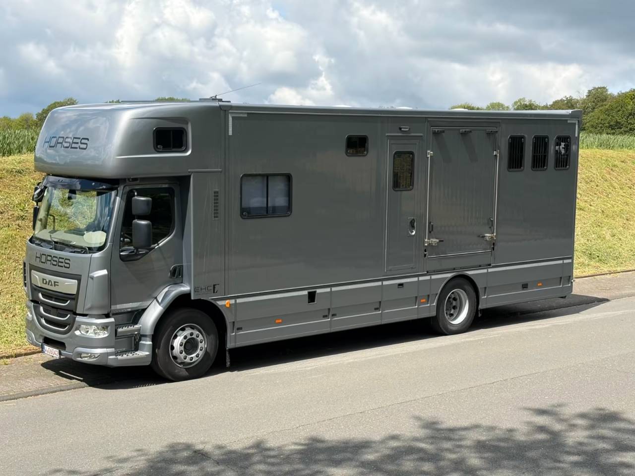 Zware paardenvrachtwagen (groot rijbewijs) Daf DAF LF 310 EHC 2026 Nieuw