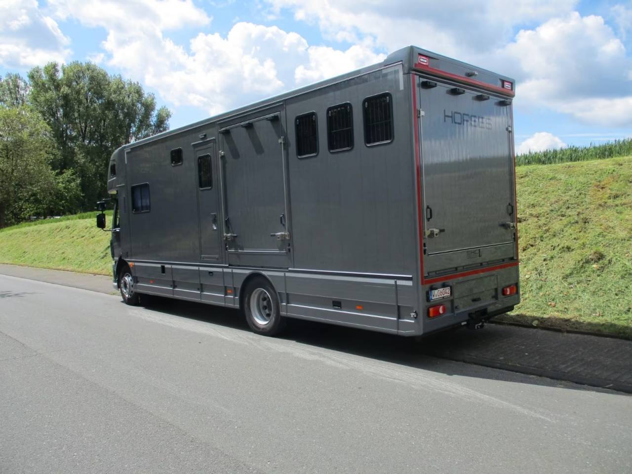 Zware paardenvrachtwagen (groot rijbewijs) Daf DAF LF 310 EHC 2026 Nieuw