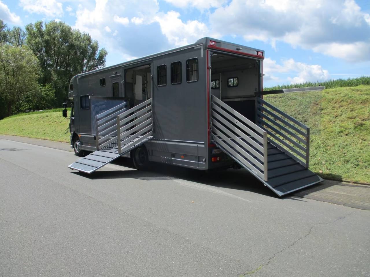 Zware paardenvrachtwagen (groot rijbewijs) Daf DAF LF 310 EHC 2026 Nieuw