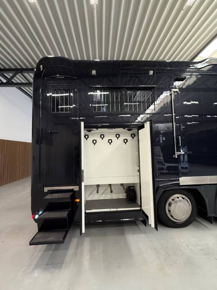 Zware paardenvrachtwagen (groot rijbewijs) Renault RENAULT MAGNUM 480 STX 5 HORSES POP OUT 2011 Tweedehands