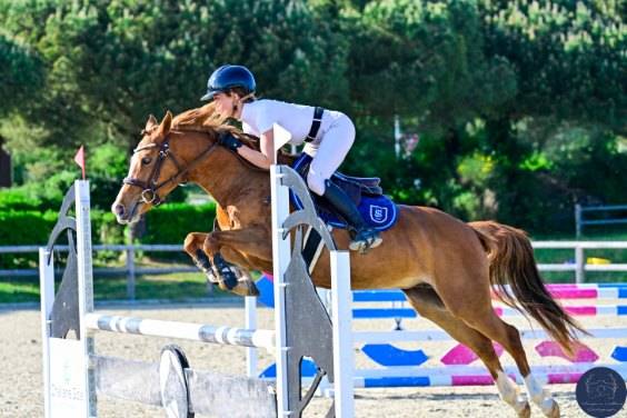 Merrie Franse rijpony PFS Te koop 2020 Vos ,  Very star kerveyer