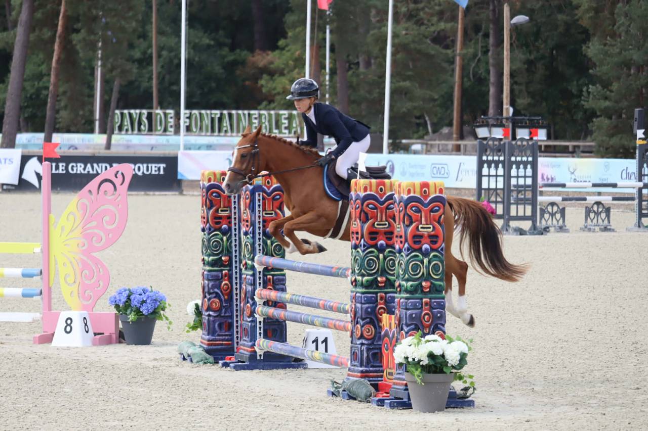 Merrie Franse rijpony PFS Te koop 2020 Vos ,  Very star kerveyer