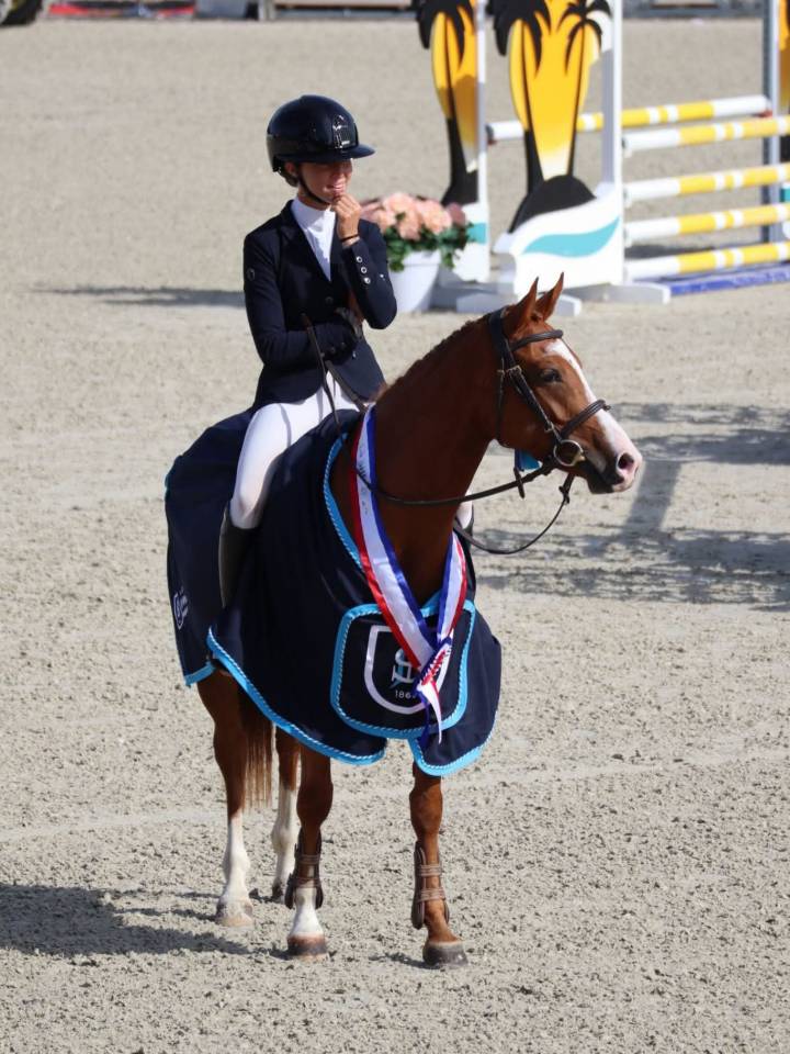 Merrie Franse rijpony PFS Te koop 2020 Vos ,  Very star kerveyer