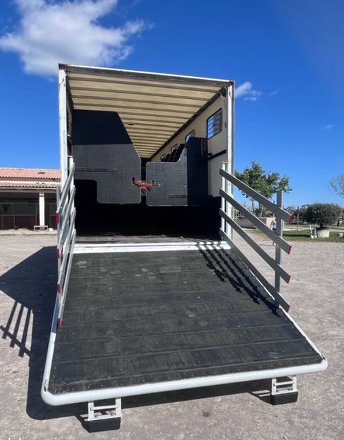 Zware paardenvrachtwagen (groot rijbewijs) Renault D 280 2018 Tweedehands