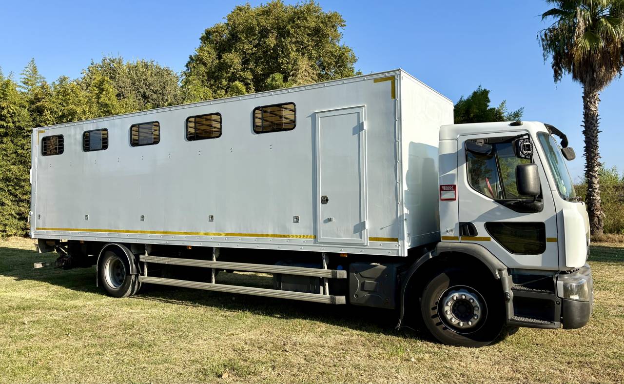 Zware paardenvrachtwagen (groot rijbewijs) Renault D 280 2018 Tweedehands