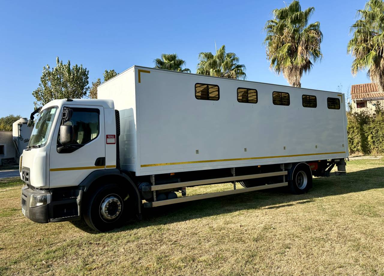 Zware paardenvrachtwagen (groot rijbewijs) Renault D 280 2018 Tweedehands