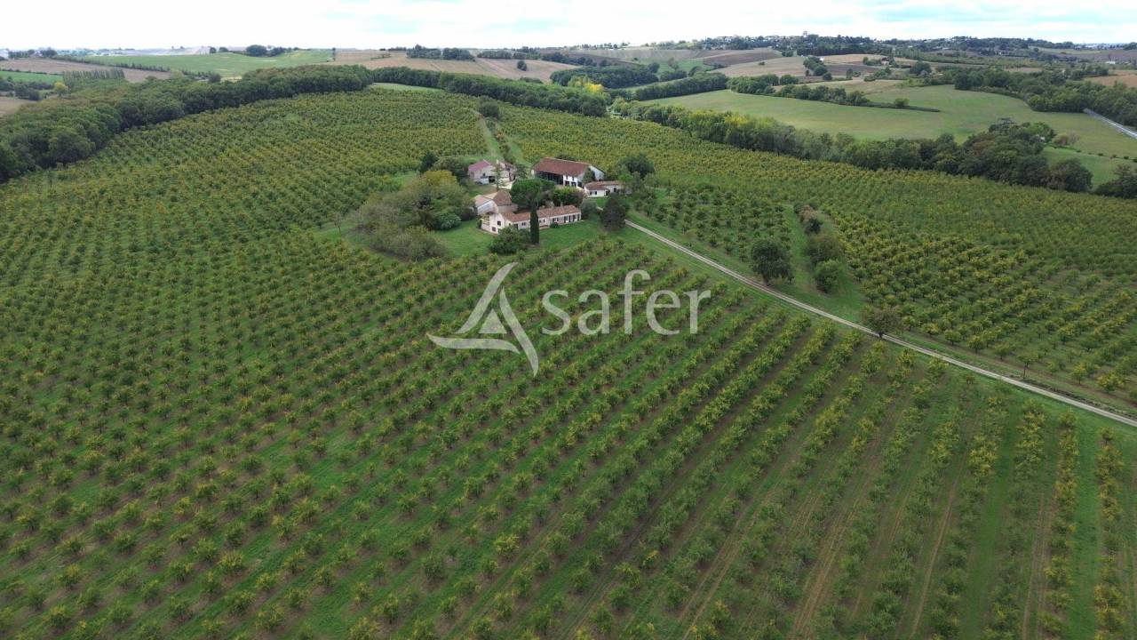 Landbouw bedrijf Koop Lot-et-Garonne