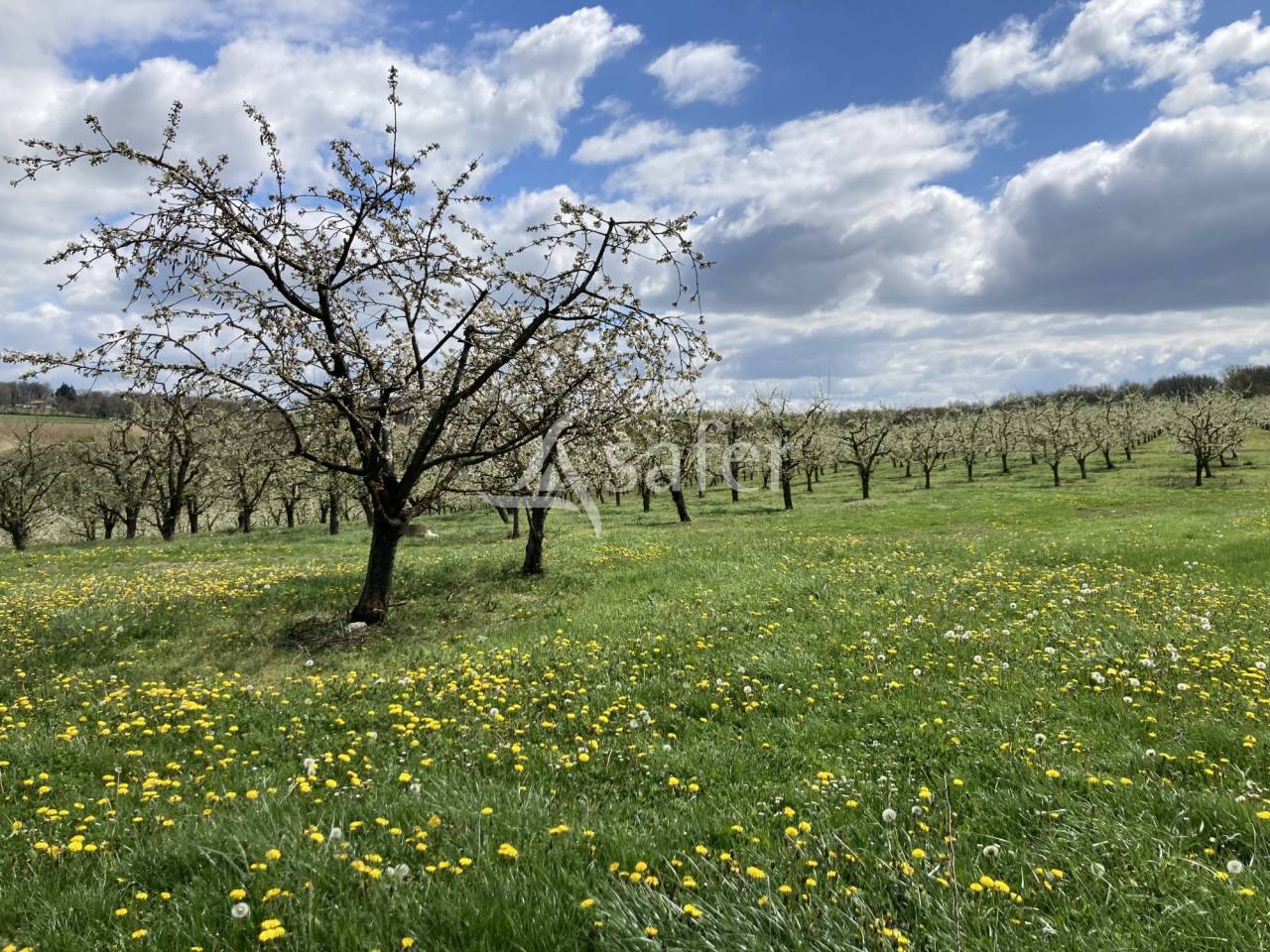 Landbouw bedrijf Koop Lot-et-Garonne