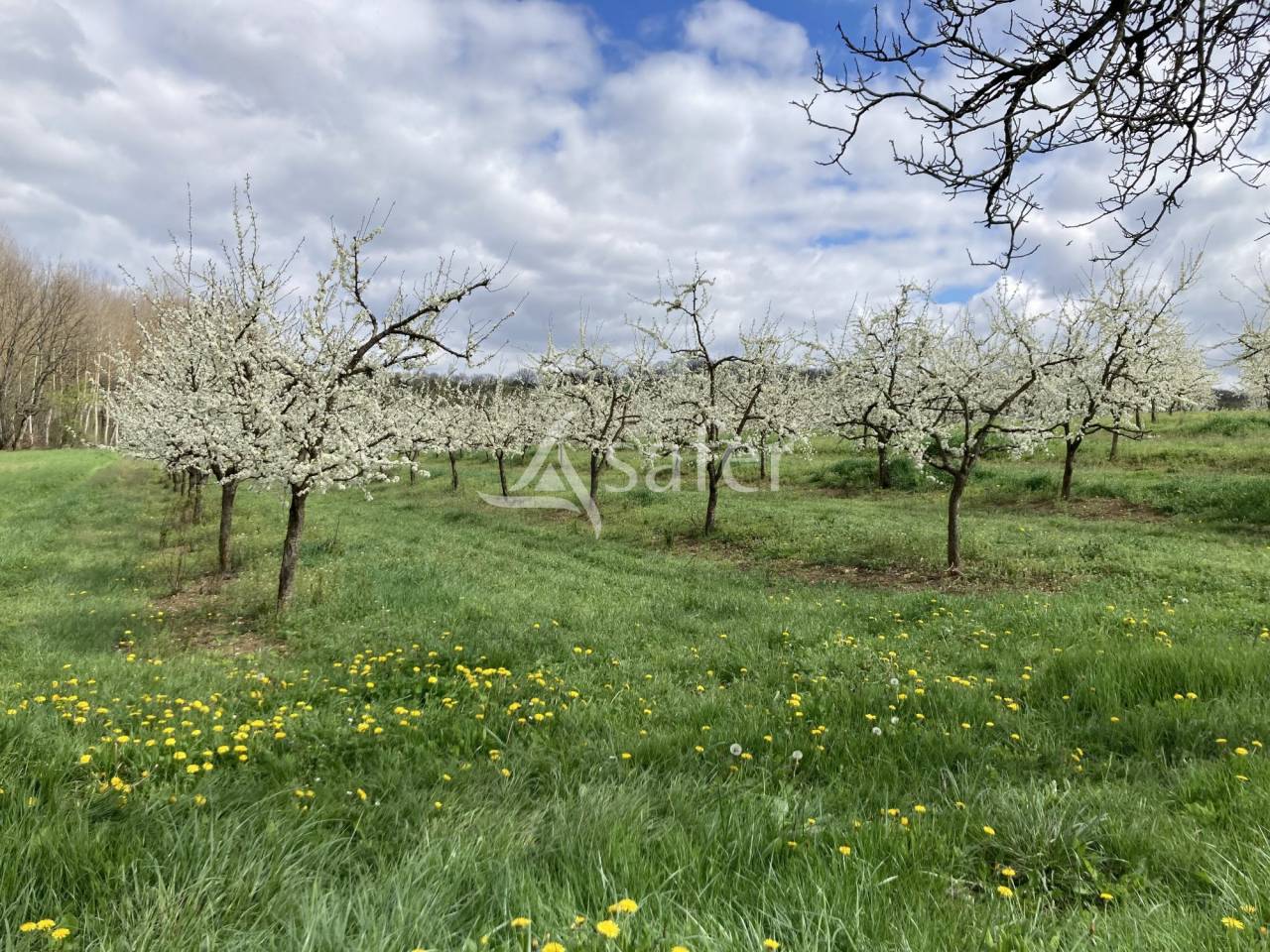 Landbouw bedrijf Koop Lot-et-Garonne