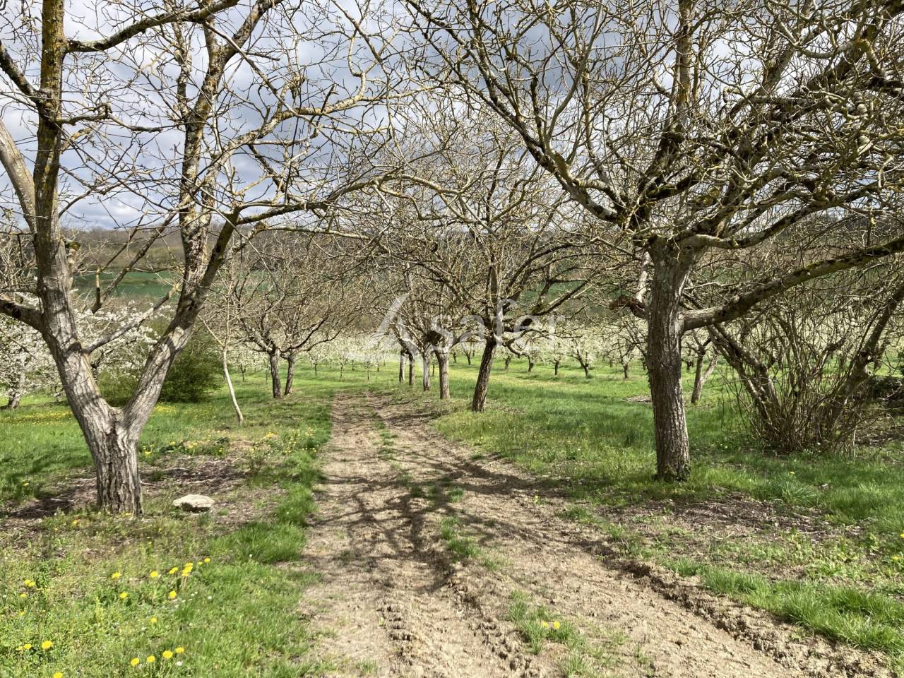 Landbouw bedrijf Koop Lot-et-Garonne