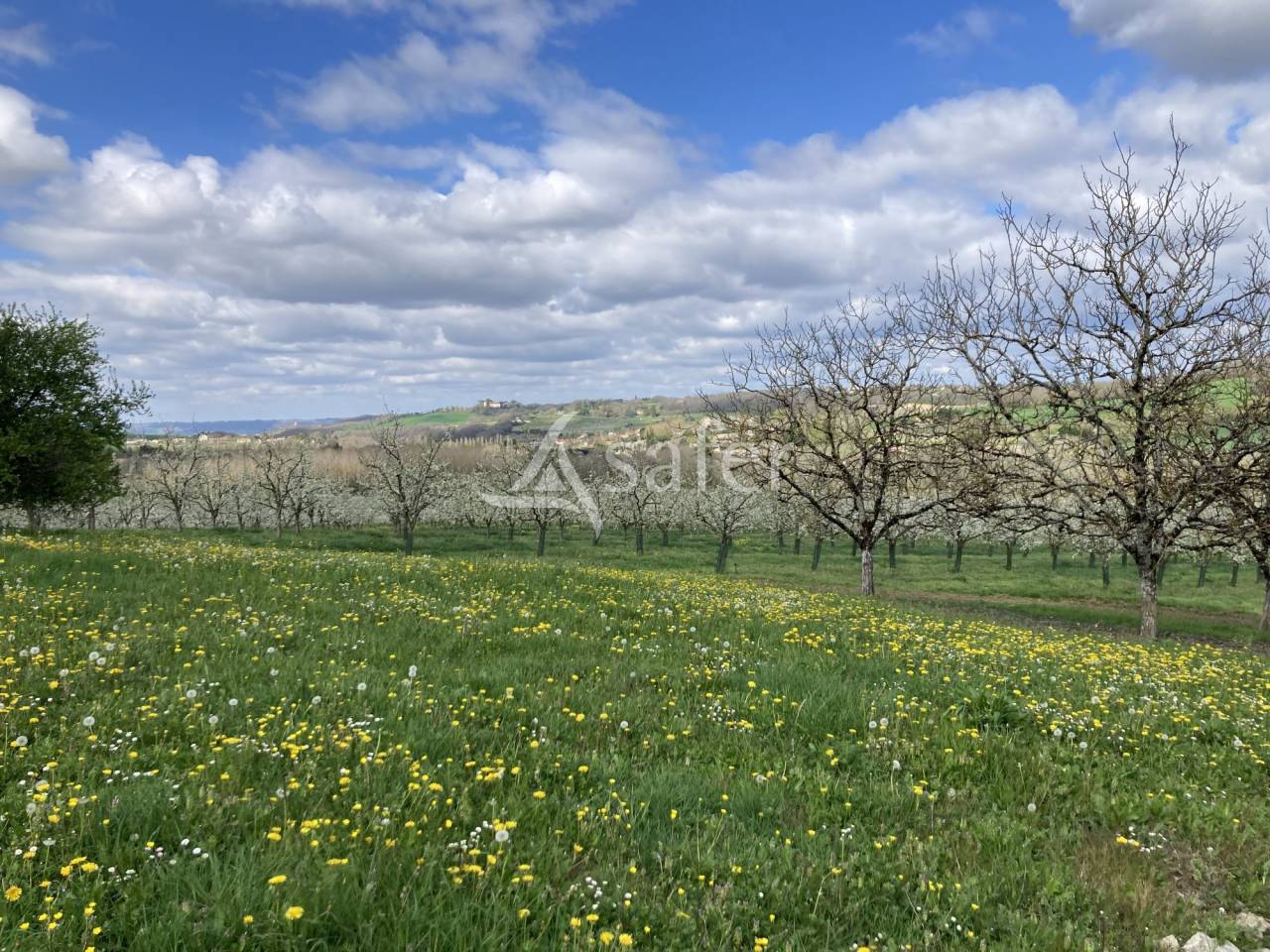 Landbouw bedrijf Koop Lot-et-Garonne