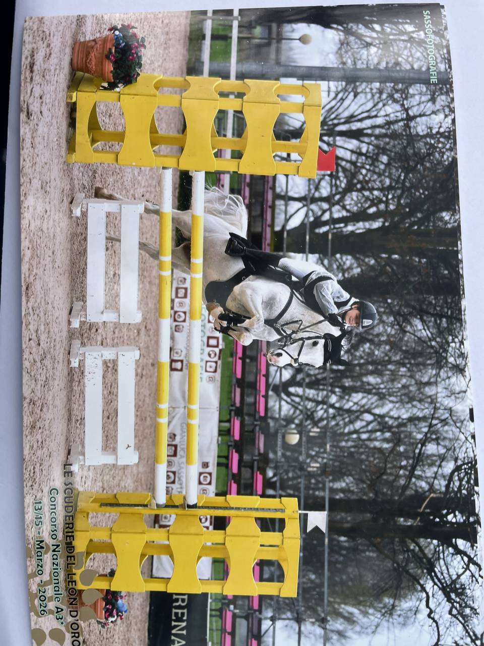 Ruin Franse rijpony PFS Te koop 2008 Bontzwart
