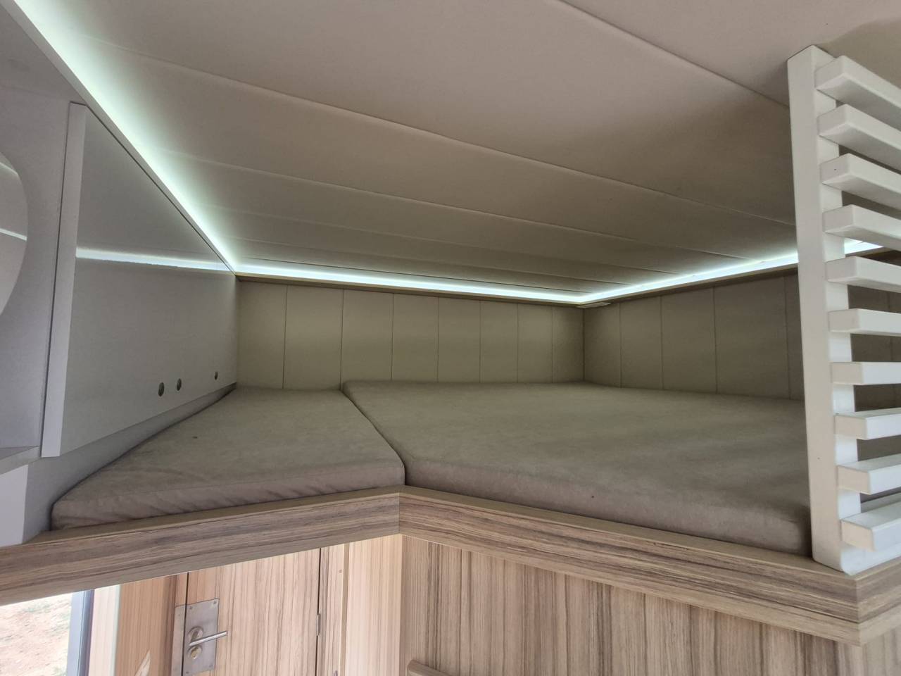 Zware paardenvrachtwagen (groot rijbewijs) Man NUYTS 2018 Tweedehands