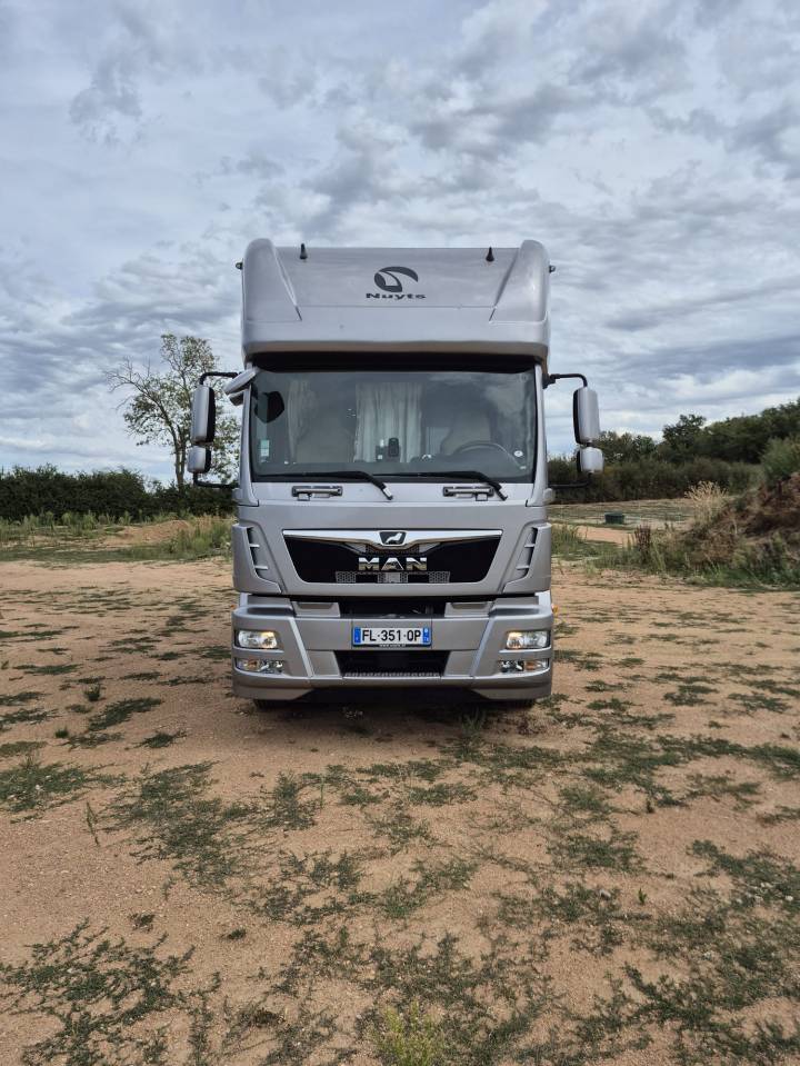Zware paardenvrachtwagen (groot rijbewijs) Man NUYTS 2018 Tweedehands