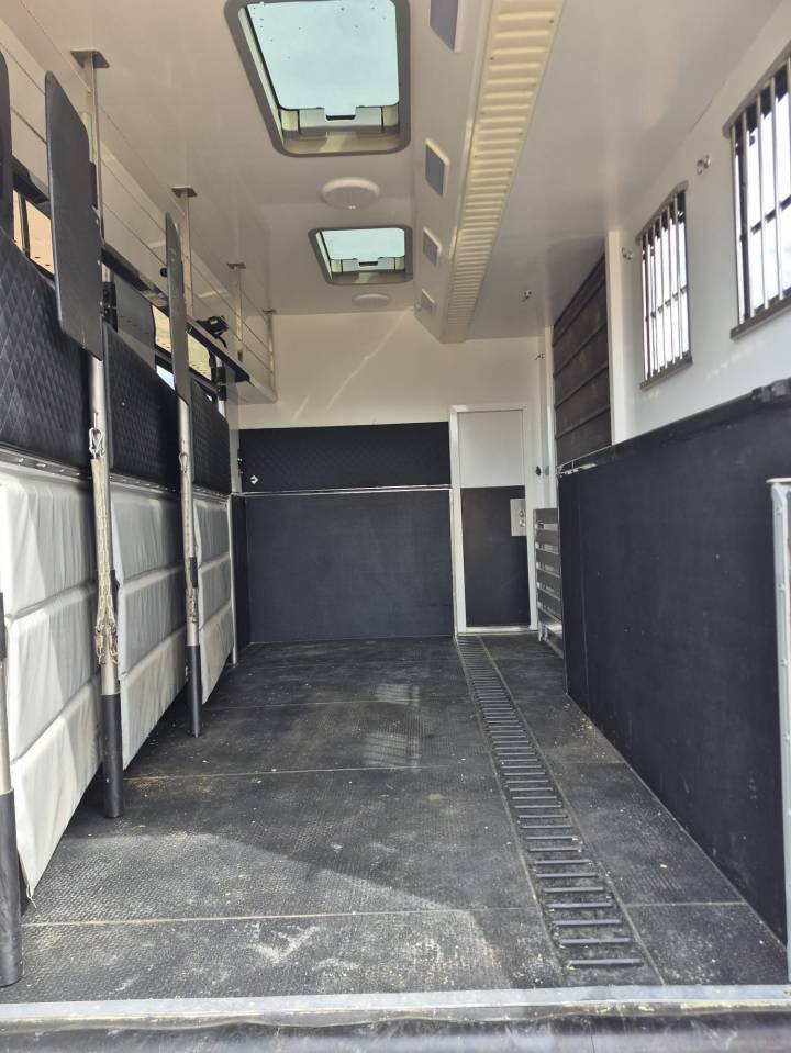 Zware paardenvrachtwagen (groot rijbewijs) Man NUYTS 2018 Tweedehands