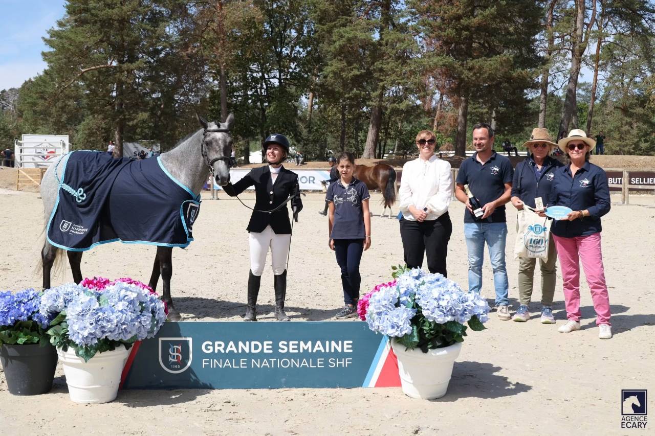 Merrie Connemara Te koop 2023 Bruinroan ,  G&eacute;nie du Ronval
