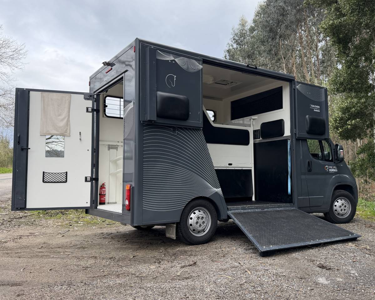Kleine paardenvrachtwagen (B rijbewijs) Citroen Junoer 2018 Tweedehands