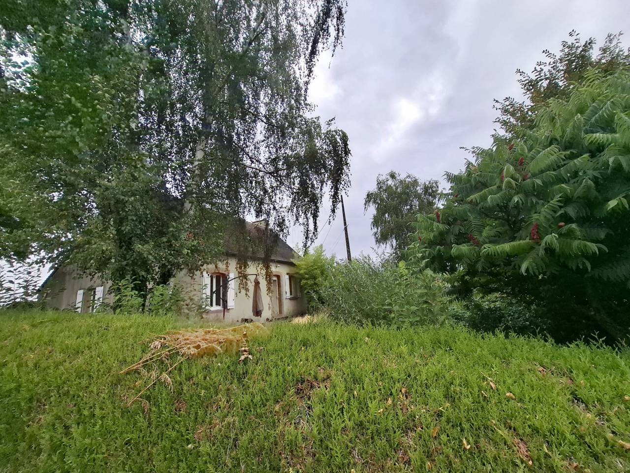Eigenaren stal Koop Sarthe