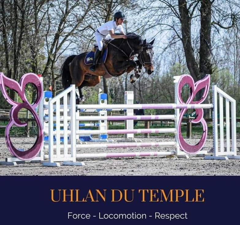 Merrie Selle Fran&ccedil;ais Te koop 2023 Donker bruin / bai ,  ULHAN DU TEMPLE