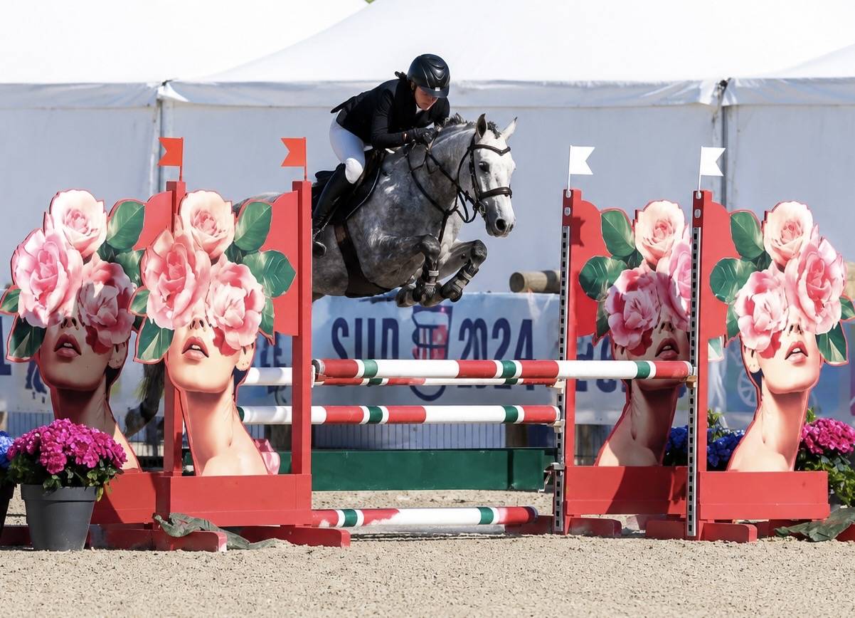 Merrie Franse rijpony PFS Te koop 2022 Schimmel