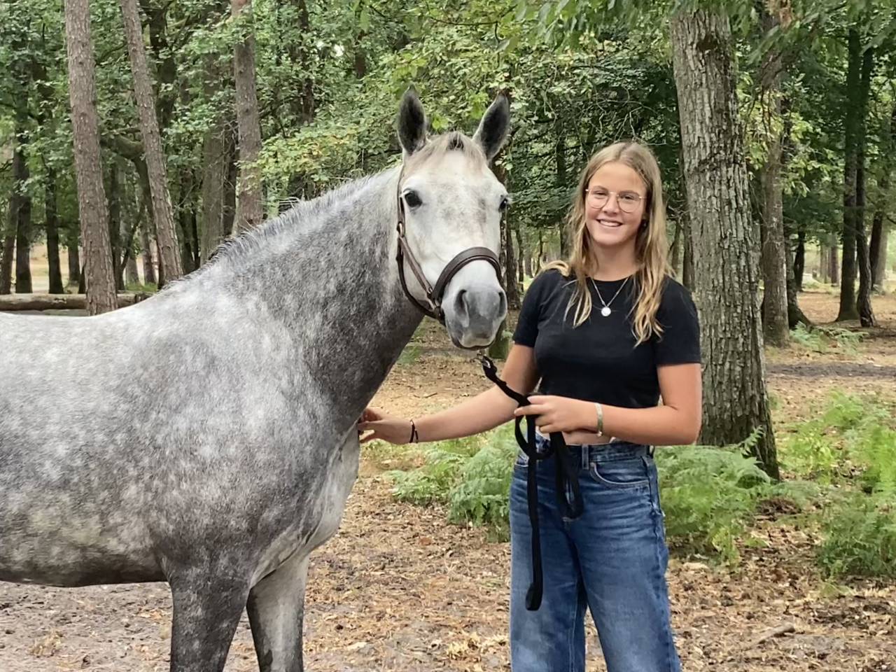 Merrie Franse rijpony PFS Te koop 2022 Schimmel