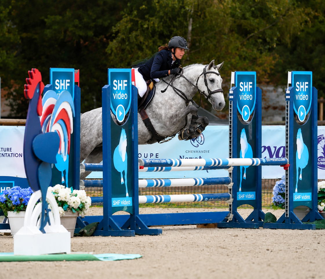 Merrie Franse rijpony PFS Te koop 2022 Schimmel