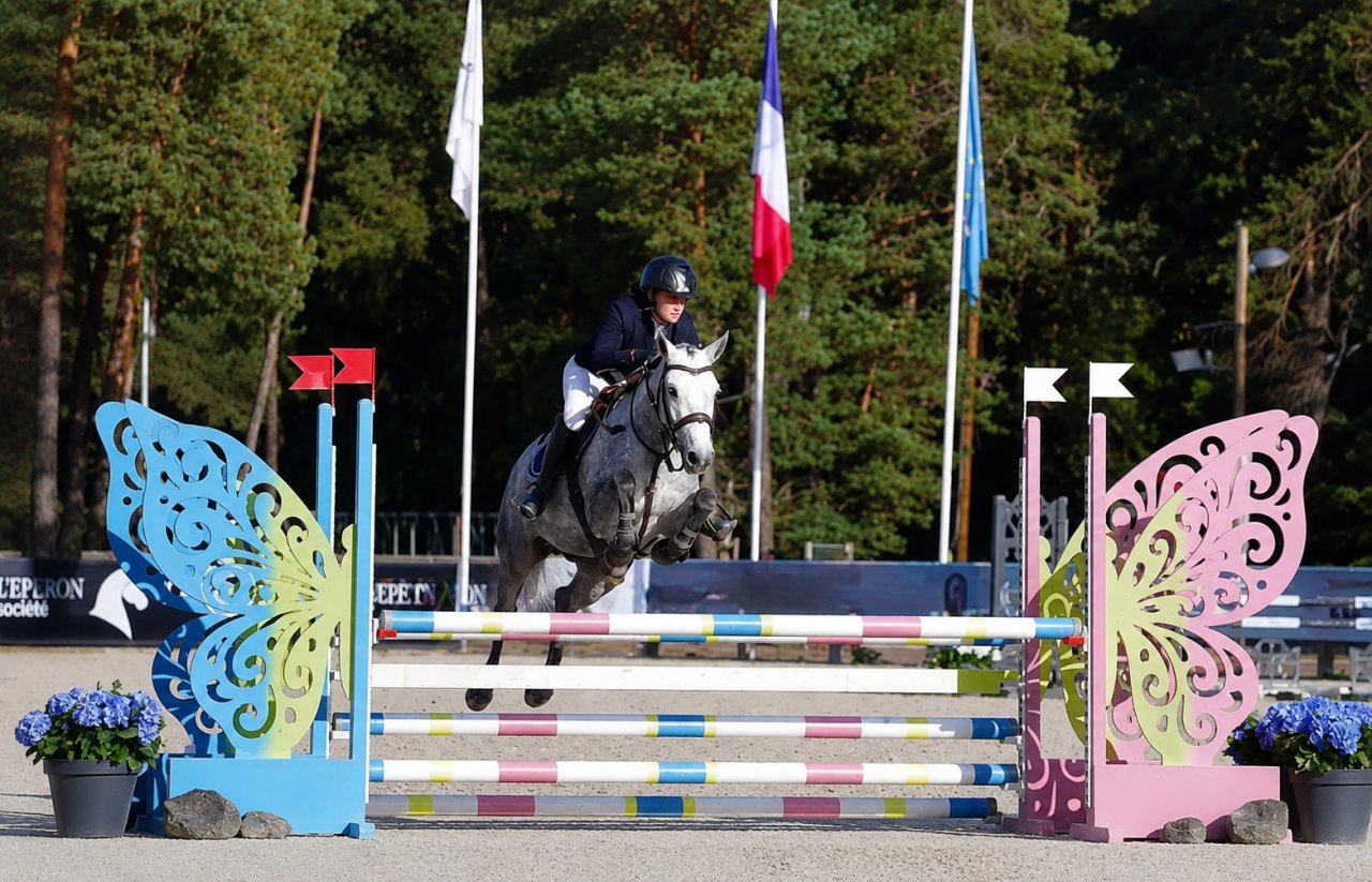Merrie Franse rijpony PFS Te koop 2022 Schimmel
