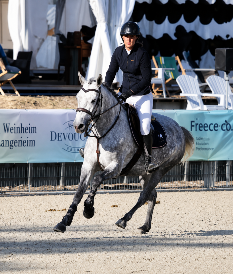 Merrie Franse rijpony PFS Te koop 2022 Schimmel